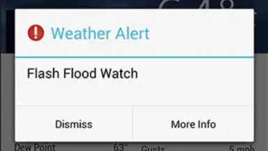 Captura de tela de AccuWeather 14