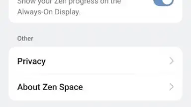 Captura de tela de Zen Space 13
