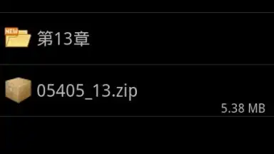 Captura de tela de ZIP with Pass 3
