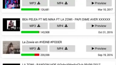 Captura de tela de YT3 Music Downloader 11