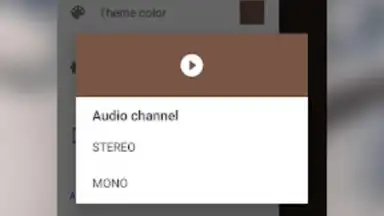 Captura de tela de MP3 Recorder 12