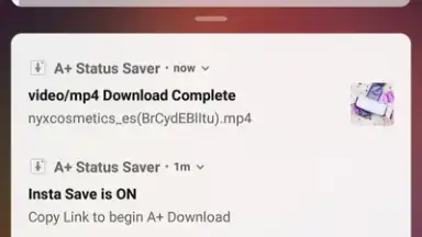 Captura de tela de A+ Status Saver 1