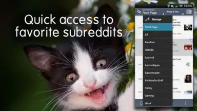 Captura de tela de BaconReader for Reddit 3