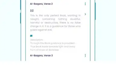 Captura de tela de The Holy Quran - English 3