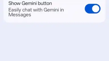 Captura de tela de Google Messages 20