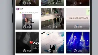 Captura de tela de Video Downloader FB Insta 2