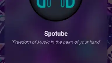 Captura de tela de Spotube 1