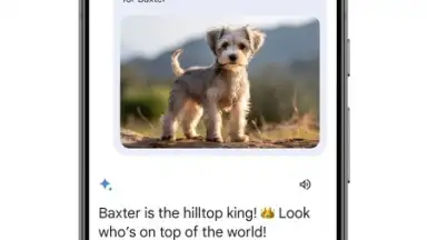Captura de tela de Google Gemini 8