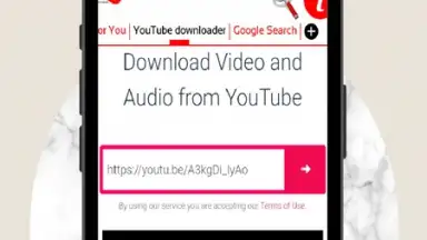 Captura de tela de Instant GO videos & audios downloader 4