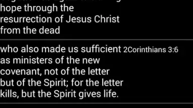 Captura de tela de Bible Quotes 5