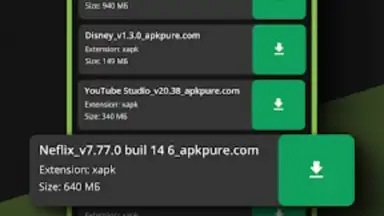 Captura de tela de XAPK Installer 3