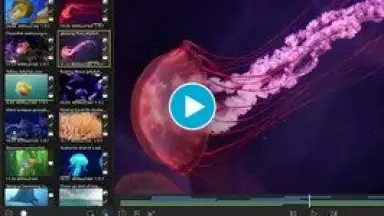 Captura de tela de LumaFusion: Education Edition 1