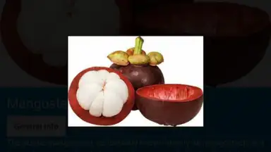 Captura de tela de Food Dictionary 8