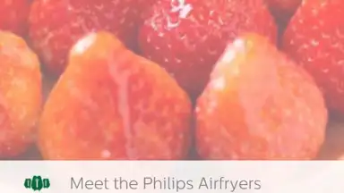 Captura de tela de Airfryer 2