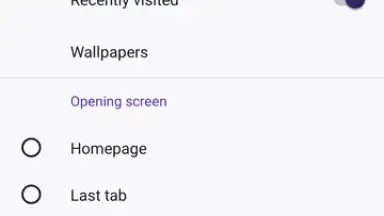 Captura de tela de Firefox 2