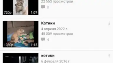 Captura de tela de Video App for VK 5