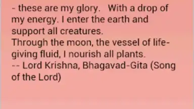 Captura de tela de Daily Hindu Prayers 9