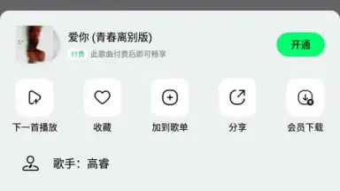 Captura de tela de QQ Music 2