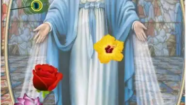 Captura de tela de Virgin Mary 4