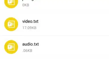 Captura de tela de LetsView 4