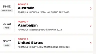 Captura de tela de Official F1 ® App 4
