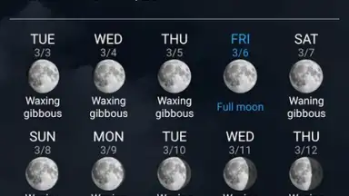 Captura de tela de Digital Clock & World Weather 3