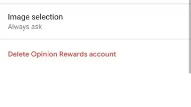 Captura de tela de Google Opinion Rewards 6