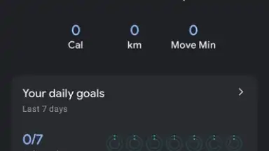 Captura de tela de Google Fit 1