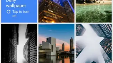 Captura de tela de Google Wallpapers 6