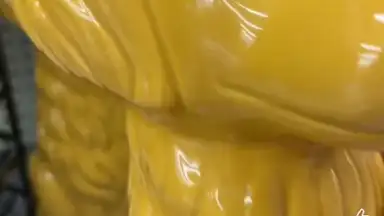 Captura de tela de RVX 11