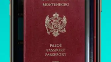 Captura de tela de Passport Index 7