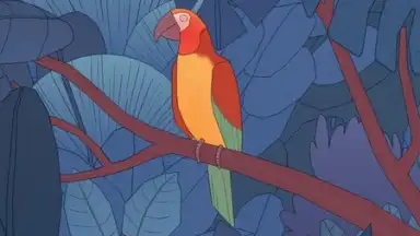Captura de tela de Bird Alone 4