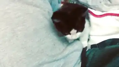 Captura de tela de OGInsta+ 1