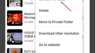 Captura de tela de Video Downloader & Video Saver 7