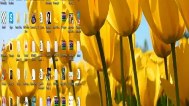 Captura de tela de Remote PC Share 7