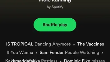Captura de tela de Spotify Lite 4