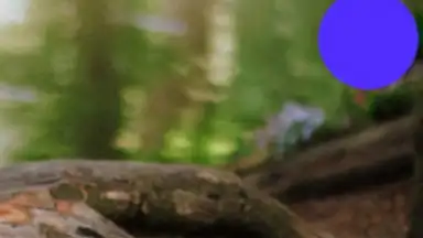 Captura de tela de Rus Wife 7