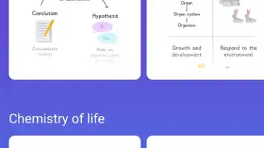 Captura de tela de Socratic by Google 6