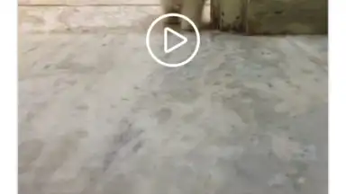 Captura de tela de InstaSave 1