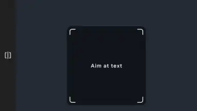 Captura de tela de Google Translate 8