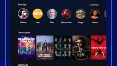 Captura de tela de Disney+ Hotstar 17