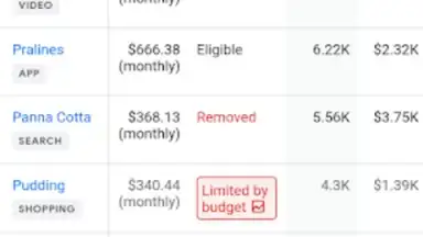Captura de tela de Google Ads 2