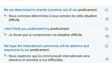 Captura de tela de Reverso Translation Dictionary 3