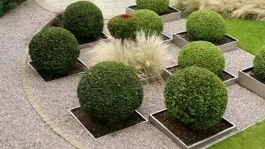 Captura de tela de Garden Design Ideas 4