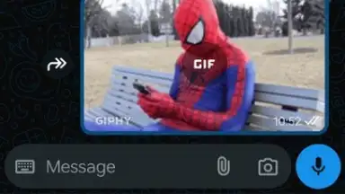 Captura de tela de WhatsApp Business 6