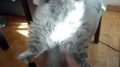 Captura de tela de WeLine 4