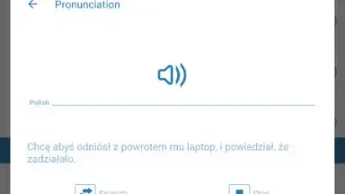 Captura de tela de Reverso Translation Dictionary 14