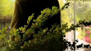 Captura de tela de Time Travel Romance 3