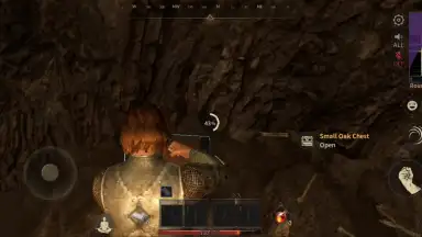Captura de tela de Abyss of Dungeons (Dark and Darker Mobile) 13