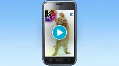 Captura de tela de Talking, Dancing Cat. 1